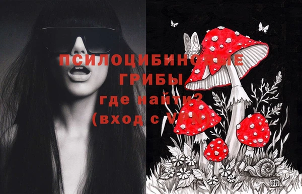 гашиш Абаза